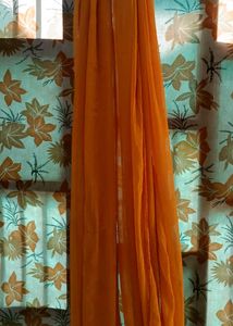 Vibrant Orange Dupatta