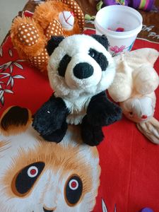 Soft Toy