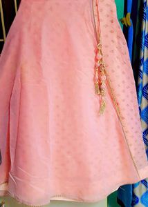 Pink Embroidered Lehenga Choli