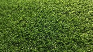 Green Mat Not Used Good Quality