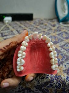 Nissin Typodont Dental Model for Practice