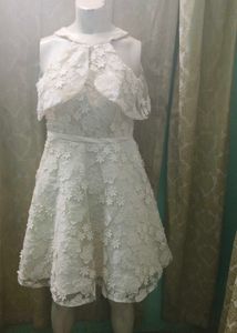 premium White Lace Cold Shoulder Dress