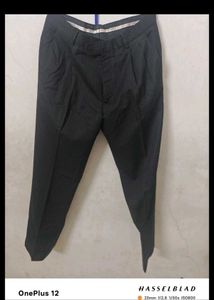 Classic Striped Arrow  Dress Pants