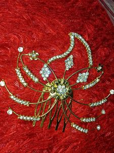 Elegant Hair Comb for juda