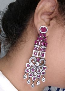 Fancy Party Wear Earnings