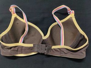 Cute Padded Brown Bra