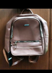 Stylish Pink Backpack