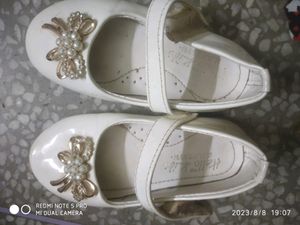 White Pearl Bellies