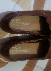 Toms Bellies