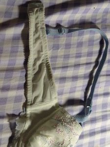 Sea Green Embroidered Bra