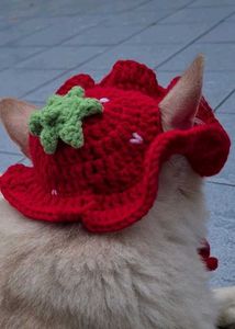 Adorable Crochet Strawberry Cat Hat🐱🧶