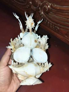 Seashell Figurine
