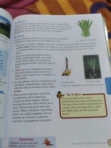Expanded Universal Science Grade 7 Textbook