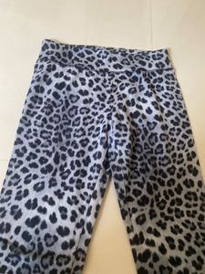 activewear set (Leopard Print High-Waisted Legging