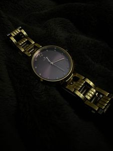 Titan Watch