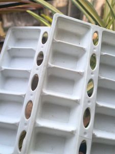 Ice Cube Trays - Set of 2