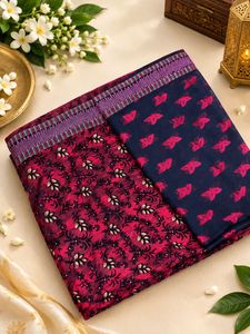 Beautiful Net Saree