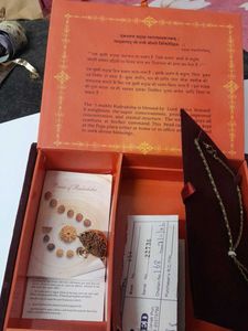 New Unused Ek Mukhi Rudraksha Pendant+free Chain