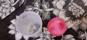 Morisons Sipper bottle