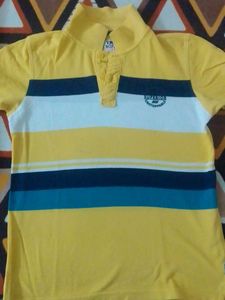 Striped Polo T-Shirt