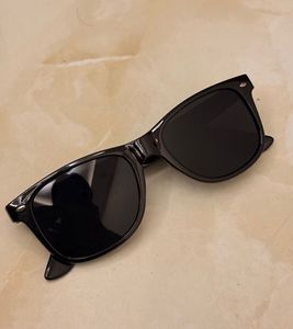 Classic Black Wayfarer Sunglasses