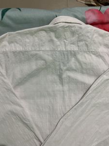 Men's Classic Button-Up Shirt
