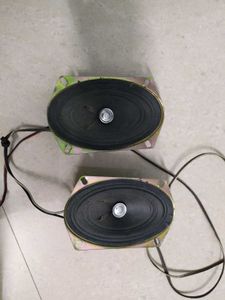 Pair of Oval Speakers