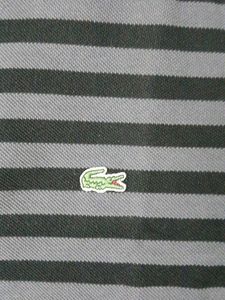 Striped Lacoste Polo Shirt