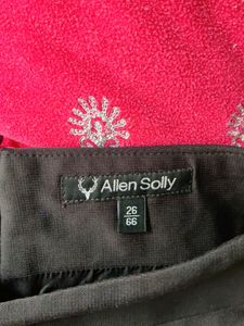 Allen Solly Formal Skirt