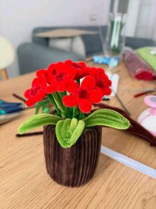 Handmade Pipe Cleaner Flower Pot