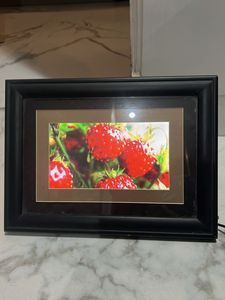 OmniTech Digital Photo Frame
