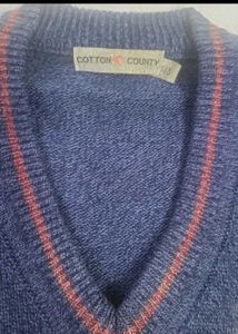 Men's Blue Striped V-Neck Sweater