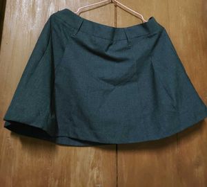Chic A-line Mini Skirt