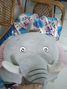Big Elephant For Kids