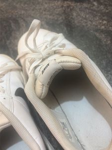 Nike White court royal  Sneakers