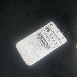 ZARA Sleek Black Sleeveless Fit &amp; Flare Dress