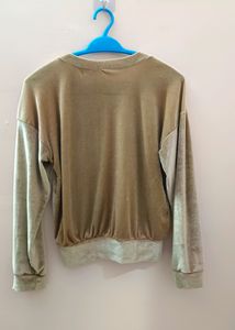 Shiny Velvet Top