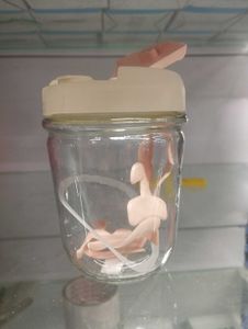 Korean Glass Water Bottle with Pink Lid