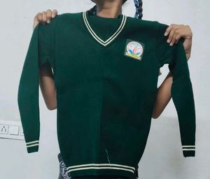 Green School Uniform Sweater