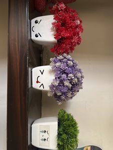 Cute Face Potted Plants (Set of 3)