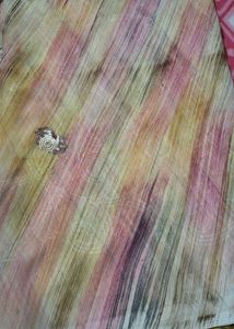 Embroidered Striped Saree