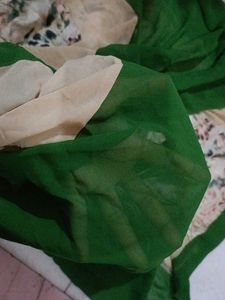 Green transparent dress