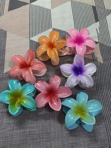 Pinterest Hair Clips Set Of 7
