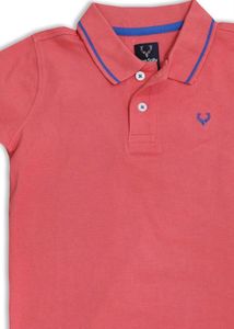 Stylish Allen Solly Collar T-Shirt for Boys