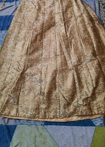 Ethnic beautiful golden skirt