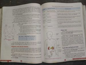 Prachi Science In-depth Book Class 8