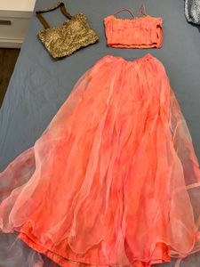 Stunning Peach Lehenga Choli with 2 Blouses