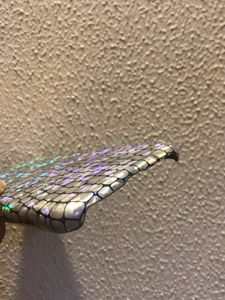 IPhone11ProMax Snake Look Reflective Phone Co