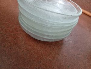 Glass Dessert Bowls (Set of 6)