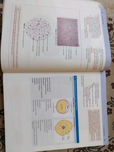 Histology Textbook - J.P.Gunasegaran